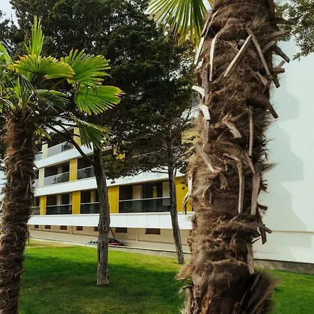 Daire Bond - Astria Olimp